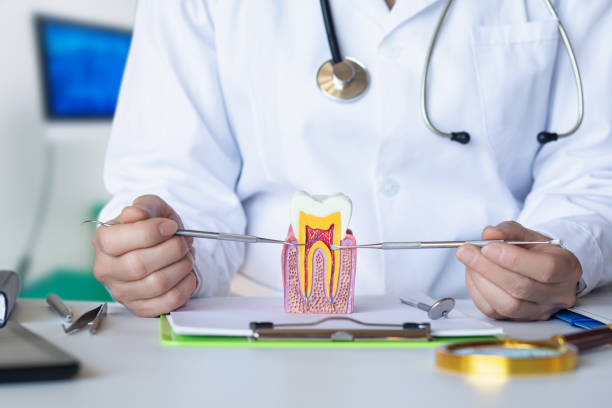Best Broken Tooth Emergency  in Potomac Park, CA